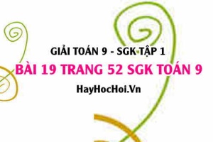 Giải bài 19 trang 52 SGK Toán 9 tập 1